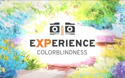 eXPerience: Colorblindness