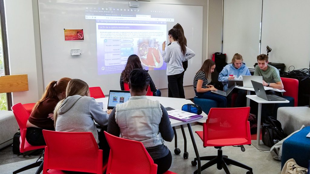 Des étudiants d'un cours de biologie travail en équipe afin d'approfondir leur connaissances sur le coeur.