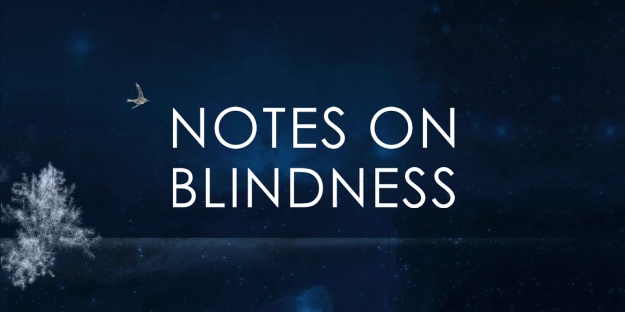 Notes on Blinness