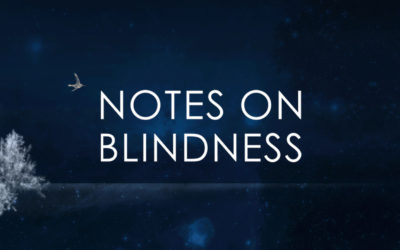 Notes on Blinness